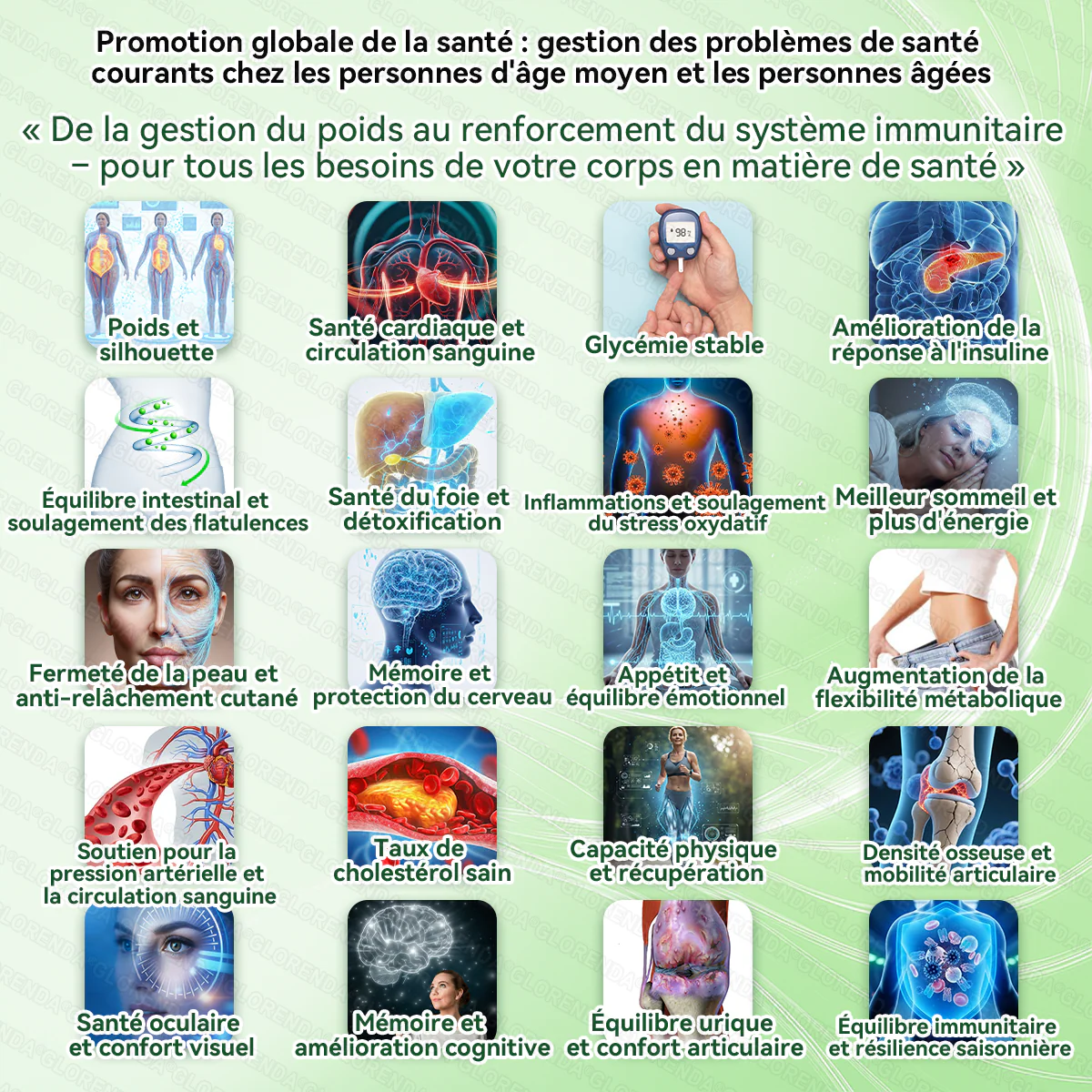 Plus que 10 boîtes ! 𝐆𝐋𝐎𝑹𝑬𝑵𝑫𝗔🎁 -30 % aujourd’hui ! Recommandée par les médecins : 4 à 6 boîtes pour éviter l’effet rebond. Dernière chance avant la nouvelle année ! 🎁 - Image 9
